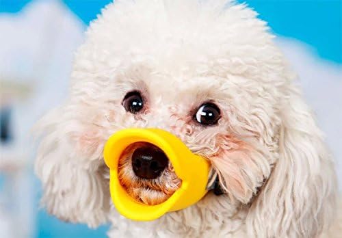 Super Cute Pet Muzzle Anti Bite Dog Mussel Duck Mouth Shape Dog Mouth Covers Dog Muzzles (M, yellow)