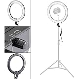 Flashpoint Photo/Video 19" AC Powered 600W 5500K Dimmable Fluorescent Ring Light With Bag (Light Only)