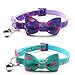 azuza Breakaway Cat Collar with Bell, 2 Pack Safety Buckle Cat Collars with Cute Bowtie, Flamingo Pattern, Adjustable from 8
