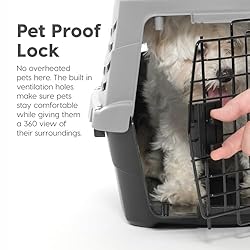 IRIS USA 19" Cat Carrier, Extra Small Pet Carrier