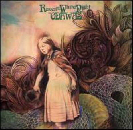 Raven and the White Night [Vinyl LP]: Amazon.de: Musik-CDs & Vinyl