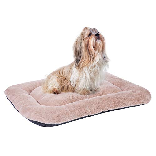 inexpensive pet beds