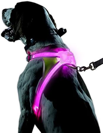 dog chafing from harness