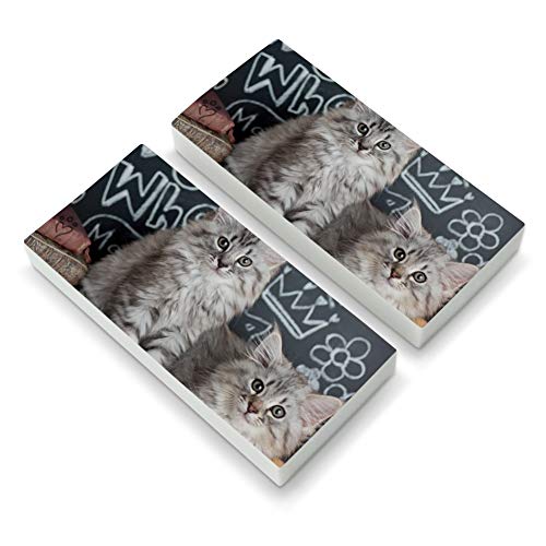 Siberian Tabby Kittens Cats School Chalkboard Learning Eraser Set of 2