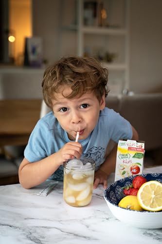 TRUE LEMON KIDS CRISP APPLE (10 PACKETS) – HYDRATION, NO PRESERVATIVES, NO ARTIFICIAL FLAVORS, NO SWEETENERS – LOW SUGAR WATER FLAVORING – JUICE POWDERED DRINK MIX FOR KIDS
