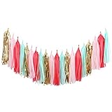 Fonder Mols 20pcs Coral Mint Blush Pink Gold Tissue Paper Tassel Garland for Wedding Party Girl Birthday Nursary Room Decorations A17