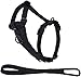 Amazon Basics Adjustable Dog Leash with Harness, Medium (25-50 lbs.)