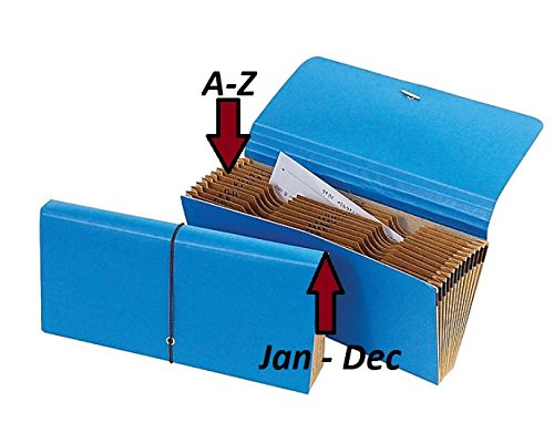 1IntheOffice Cancelled Check File,Blue