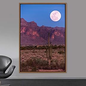 signwin Framed Canvas Wall Art Moon Astronomy &...