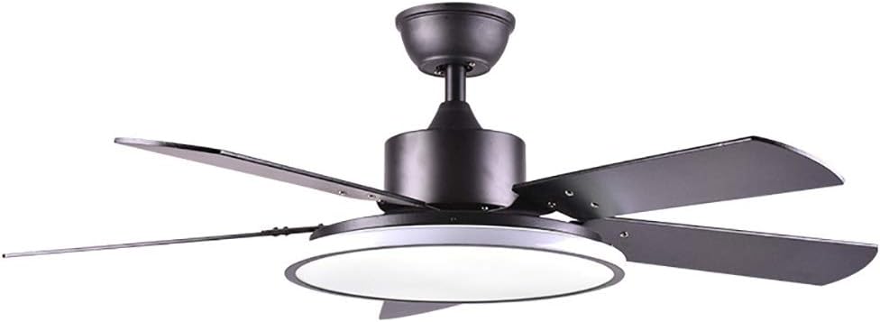 RXUNA Modern Low Profile Fan Light, Dimmable Double-Sided Fan Blade Ceiling Fan Light Summer Winter Run Ceiling Fan Lamp-Black A 32inch