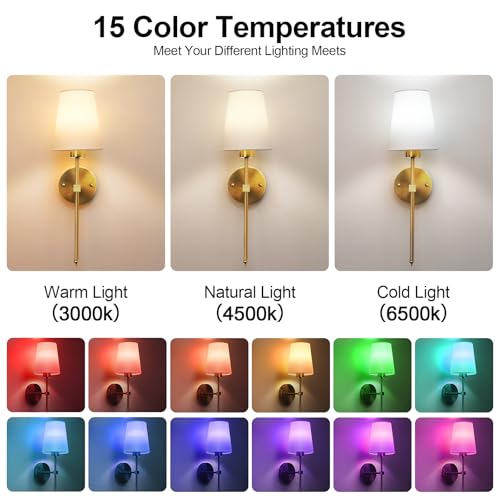 Tobeape Battery Operated Wall Night Light Set of 2, Wireless Cordless Sconce with Remote, 2500 mAh Rechargeable LED Wall Lamp Lighting Fixture with 15 Color for Bedroom Living Room Hallway Stair Decor