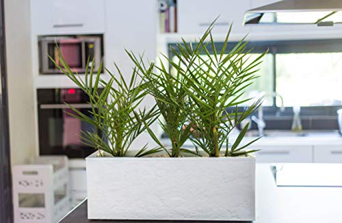 EDA Volcania Up Balkonkasten weiß gekalkt, 59 cm – Bild 3