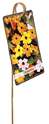 50 12" BambooTag Lifters Plant Pot Label Risers 12 inch