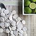 Byrds Famous Cookies -Bite Size 16 Oz. Bag Key Lime Coolers