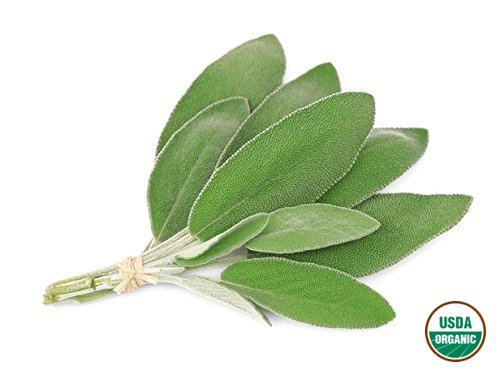 Organic Sage Tea - Salvia officinalis Loose Leaf by Nature Tea (4 oz)