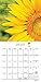 Sunflowers 2017 Wall Calendar