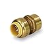 Supply Giant VQGD12 1/2 Inch Long Push X Female Adapter for Push-Fit Fittings, Made with Lead-Free DZR Forged Brass, Connects PEX, CPVC & Copper, Pre-Lubricated Quick Installation