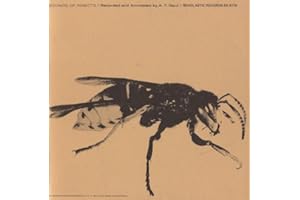 Sounds of Insects / Various