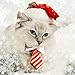 Dog Santa Hat Cat Xmas Hat, Cat Christmas Outfits