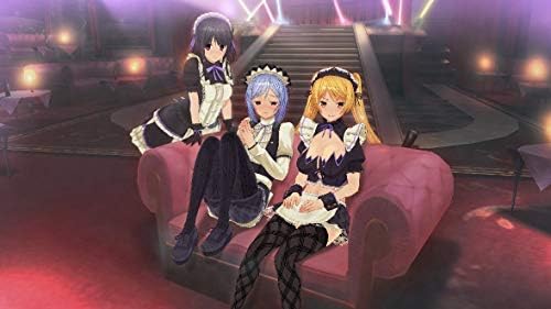 Amazon Com Custom Maid 3d2 カスタムメイド3d2 Japanese Adult Windows Pc Game Eroge Hentai カスタムメイド3d2 Books