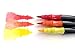 Nightscape Watercolor Brush Marker Pens, Felt Nib, Firm Tip, Set of 12 Colors