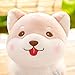 Me Too Stuffed Shiba Inu Dog 2018 Chinese New Year Plush Puppy Animal Toys 8