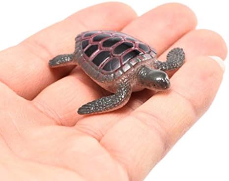 Amazon Co Jp Simplelife 12ピース セット亀フィギュアモデルのおもちゃかわいい漫画動物亀教育玩具子供キッズ男の子と女の子 ホビー