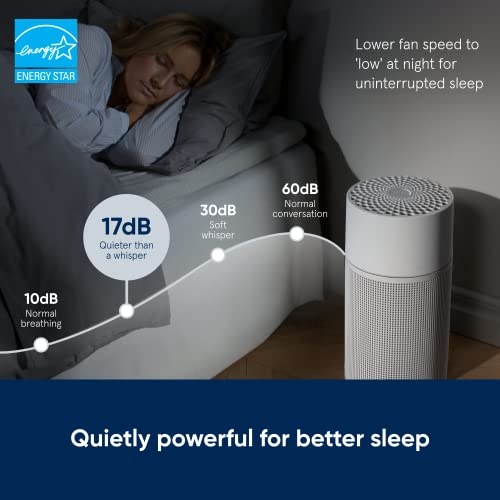 BLUEAIR Bedroom Air Purifier, Small Room Air Cleaner Dust Pet Dander