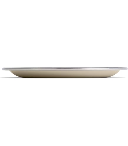 Amazon.com : Hydro Flask Outdoor Kitchen Plate – Stainless Steel