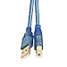 JEVIT USB A Male to B Male Hi-Speed USB 2.0 Cable with Gold Connectors and a Ferrite Core 20Feet/6m