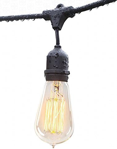 Hedgehogarden Commercial Grade Outdoor String Lights with Hanging Sockets (48 Feet)