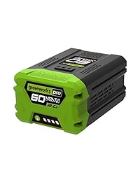 Greenworks Pro 60-volt Max 2-amp horas batería de litio ion de litio (Li-Ion) Batería de Cordless Potencia Equipo