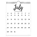 TF Publishing 19-6204A July 2018 - June 2019 Black & White Script Monthly Wall Calendar, 9 x 12