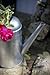 Ikea Socker 701.556.73 Galvanized Steel Watering Can, 9-Inch, 88 oz/2.6 Liter, Silver