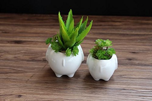 Sea star Set of 2 Cute Elephant Flower Pot,Modern White Ceramic Succulent Planter Pots / Tiny Flower Plant Containers (Elephant)