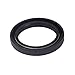 Briggs & Stratton 291675S Oil Seal Replaces 291675 primary