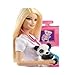 Mattel Barbie Careers Panda Caretaker Playset