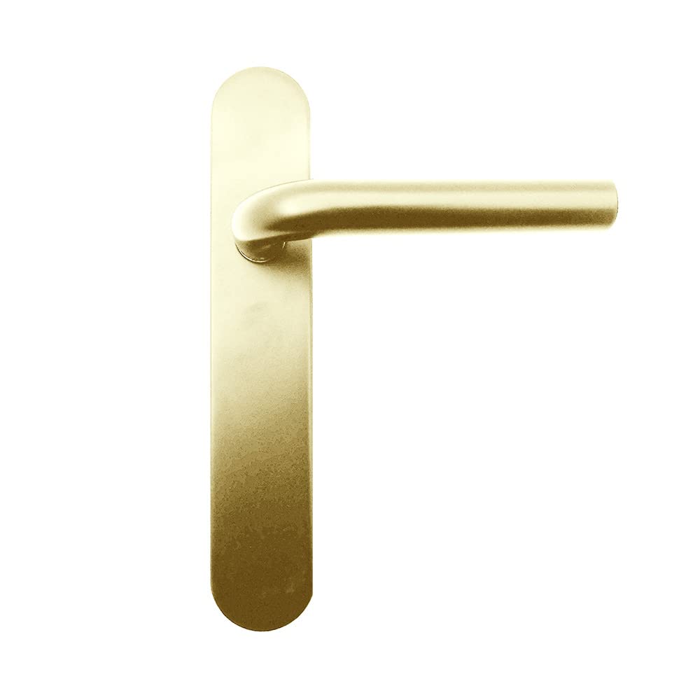 Micel - 05755 Door Handle Set with Curved Angle Plate and Stainless Steel Handle, PVD Gold, 225 x 138 x 66 mm