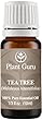 Tea Tree (Melaleuca) Essential Oil. 10 ml. 100% Pure, Undiluted, Therapeutic Grade.