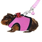 Rypet Ferret Harness and Leash - Soft Mesh Small