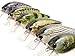 wLure Minnow Crankbait for Bass Fishing Bass Lure Jerkbait Fishing Lure (HC25KB, with Tackle Box)
