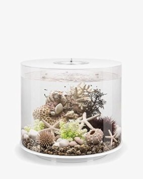 biOrb Tube 35 Aquarium with MCR – 9.2 Gallon, White