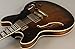 Washburn Hb36k Spruce Flame Maple Vintage Hollowbody Electric Guitar