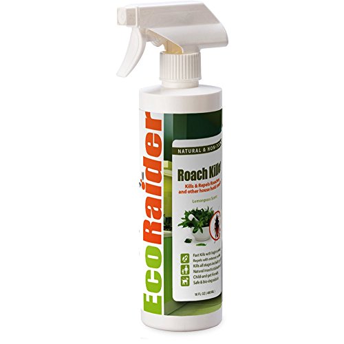 EcoRaider Roach Killer and Repellent (16OZ), Fast Kill & Lasting Repellency, Green & Non-Toxic