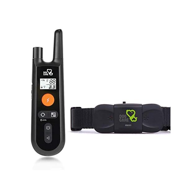 beep vibrate shock collar