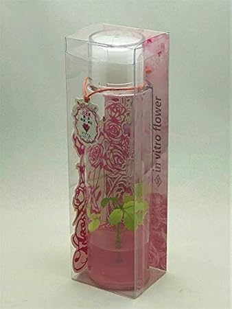 Amazon インビトロフラワー マーブルローズ ジェル ピンク 観葉植物 オンライン通販 Amazon インビトロフラワー マーブルローズ ジェル ピンク 観葉植物 オンライン通販