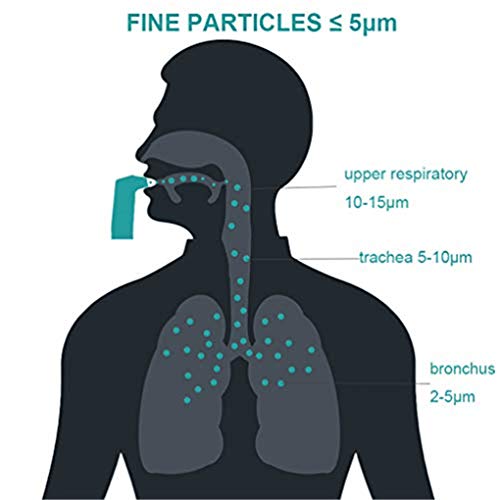 TANGXIA Handheld Vaporizer Machine, Portable Steam Humidifier for Travel or Home Daily Use, Mini Vaporizer Humidifier Machine for Kid and Adult with 2 Masks