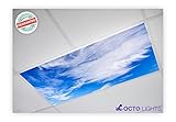 Cloud 003 2x4 Flexible Fluorescent Light Cover