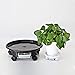neteasegensen 17.7″ White Plant Caddy Plant Stand Round Planter Trolly Heavy Duty Plant Tray Flower Pot Mover with Caster Wheels and a Water Container（1Pcs）thumb 4