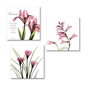 Canvas Wall Art Transparent Beautiful Flowers Painting Artwork for Home Prints Framed - 12"x12"x3 Panels